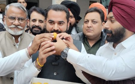 ਵਿਧਾਇਕ ਨਰਿੰਦਰ ਪਾਲ ਸਿੰਘ ਸਵਨਾ ਨੇ ਜਿਮਨੀ ਚੋਣਾਂ 'ਚ ਜਿੱਤ ਪ੍ਰਾਪਤ ਕਰਨ ਤੇ ਆਮ ਆਦਮੀ ਪਾਰਟੀ ਦੇ ਵਿਧਾਇਕਾਂ ਨੂੰ ਦਿੱਤੀ ਵਧਾਈ